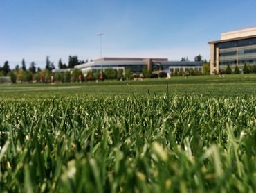 Sportinstuif in de voetbalkooi